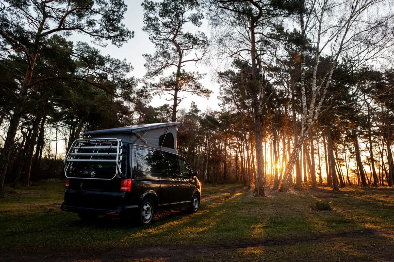 Black VW Transporter with pop-top roof raised, parked among pine trees as the sun sets through the woodland